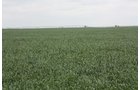 Property photo 56 - LAND AUCTION, 3255+/- Acres offered in 13 Tracts
